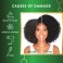 Bond Repair Complex Bonding Hair Gloss 118ml