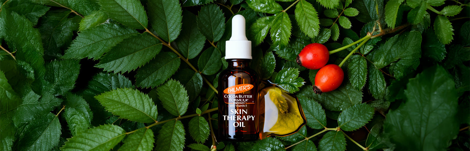 Skin Therapy Oil for Face